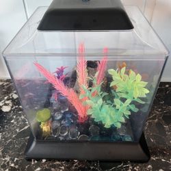 Fish Tank