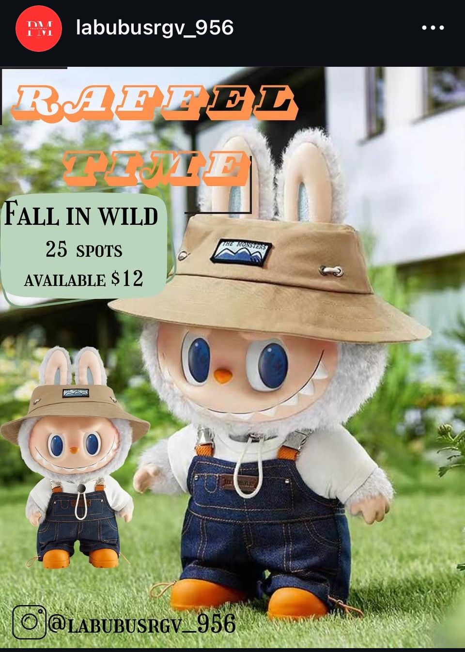 Fall In Wild