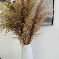 modern decoration with pampas - -$18