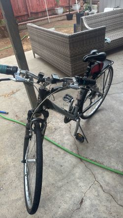 Silver Giant Cypress LX