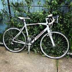 NOVARA CAREMA PRO ROAD BIKE 700cc Wheels 