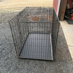Dog Crate For Sale 