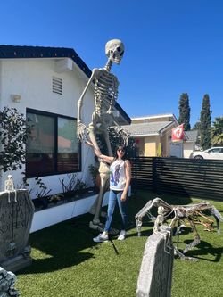Home Depot 12-Ft Giant Skelly Skeleton with Moving LCD Eyes