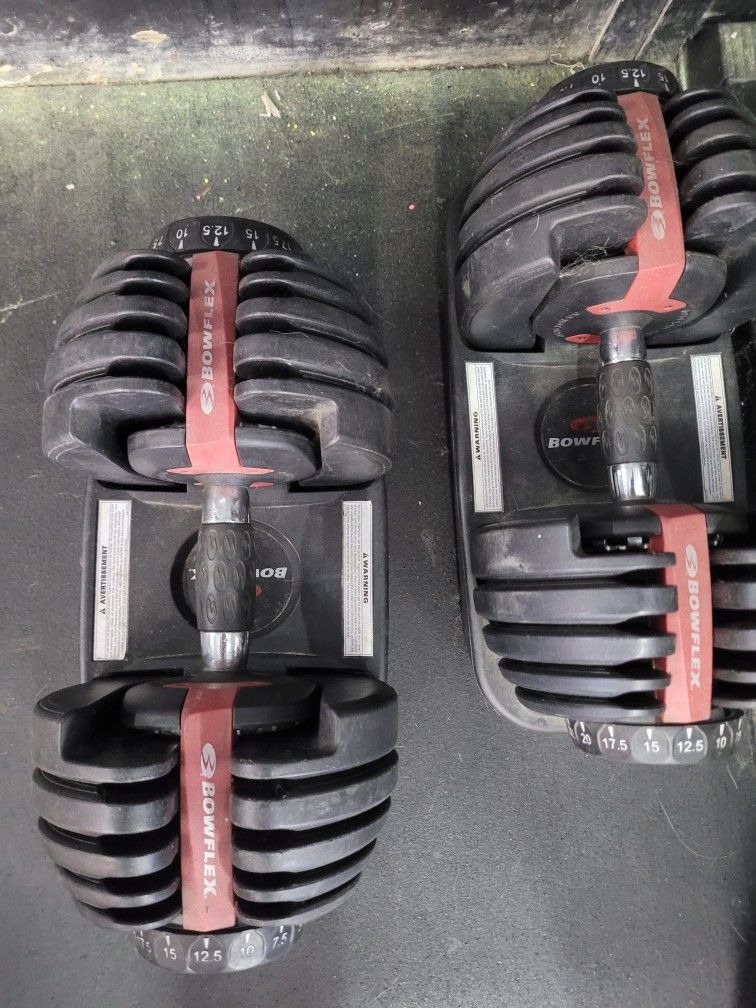 Bowflex Dumbbells 525