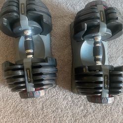 Bowflex Adjustable Dumbbells 