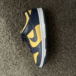 Michigan Dunk Low 