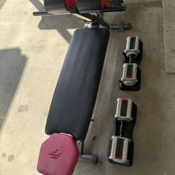 Bench And Weights 