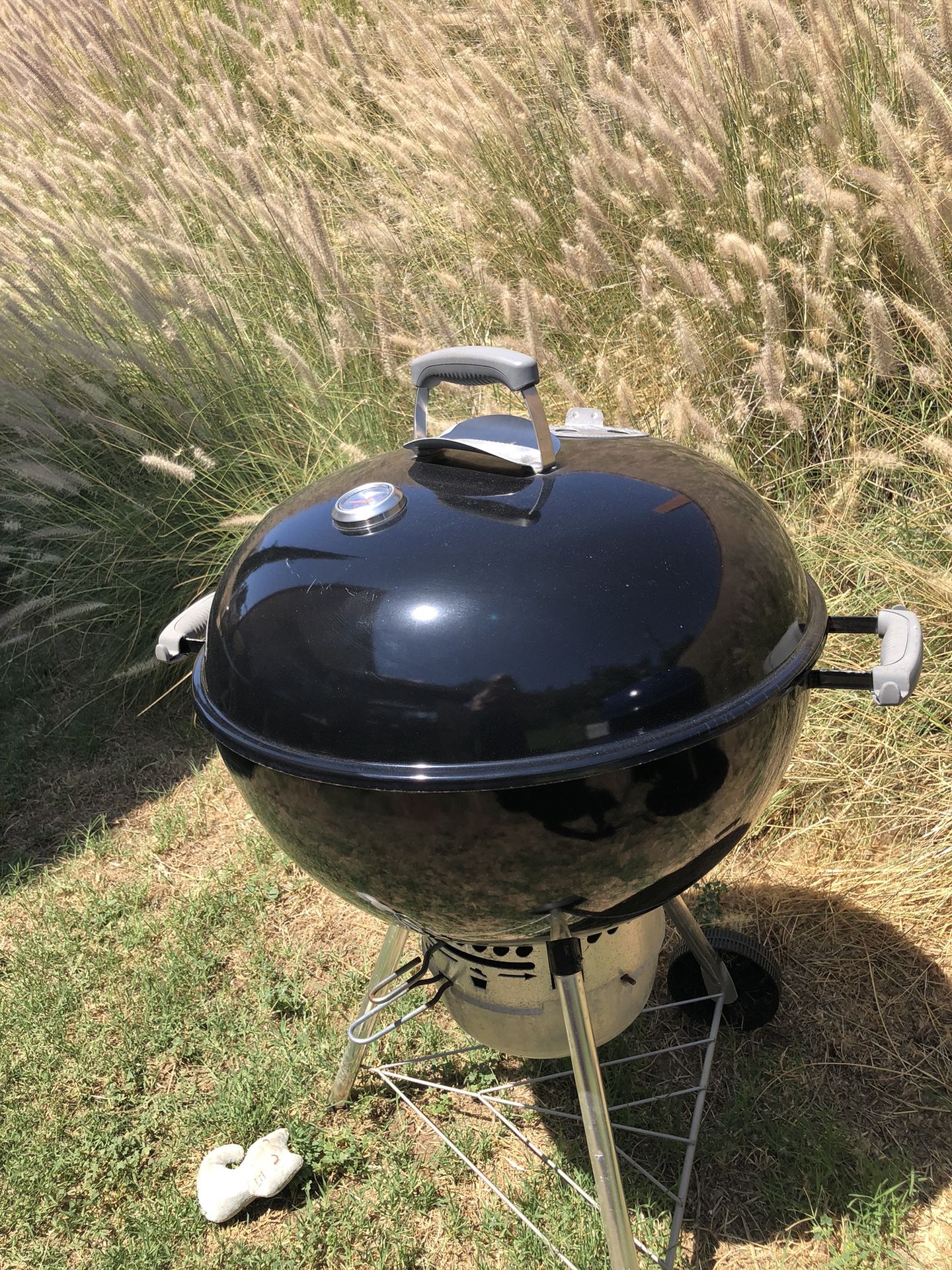 Weber Charcoal Kettle