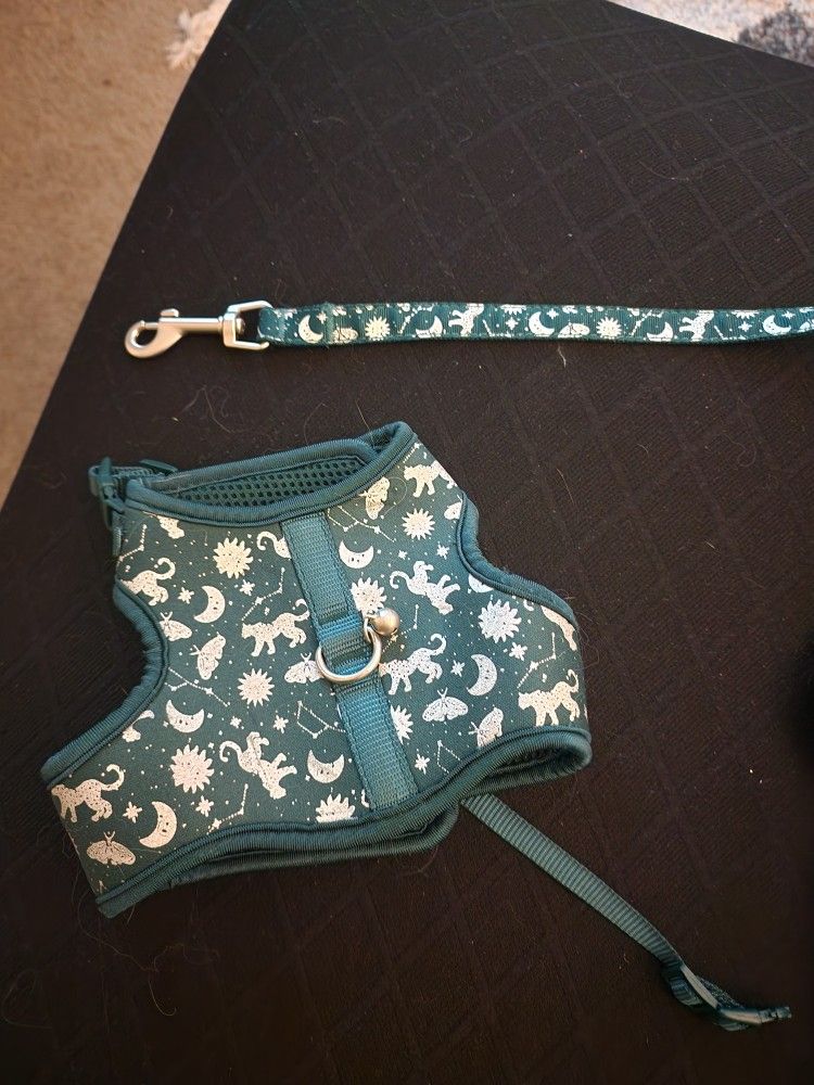 Small Dog Harness And Leash