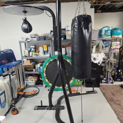 Punching bag speed bag