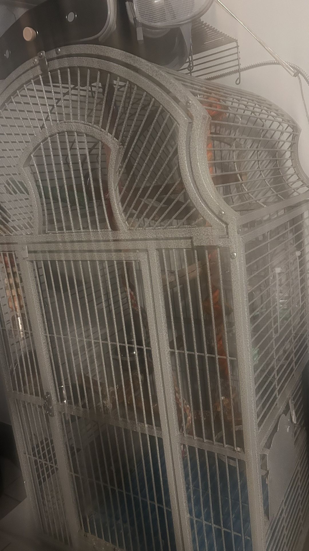 Pirate Cage