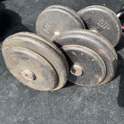 50LB Dumbbells