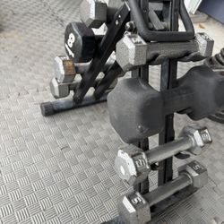 Dumbbells With Stand