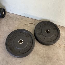 Rogue 45 lb Weight Plates – Olympic Barbell Plates (Set of 2)