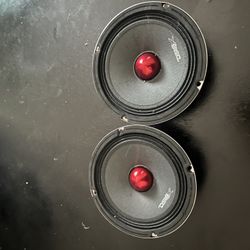 Ds18 6.5 Speakers