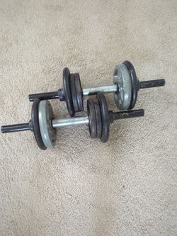 40 Lbs Weights Adjustable