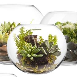 Glass Bubble Bowls | 5-14.5 Gallons | 12.5-18" | Fish Bowl, Aquarium, Terrarium