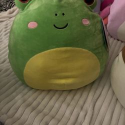 Wendy the Frog Squishmallow 