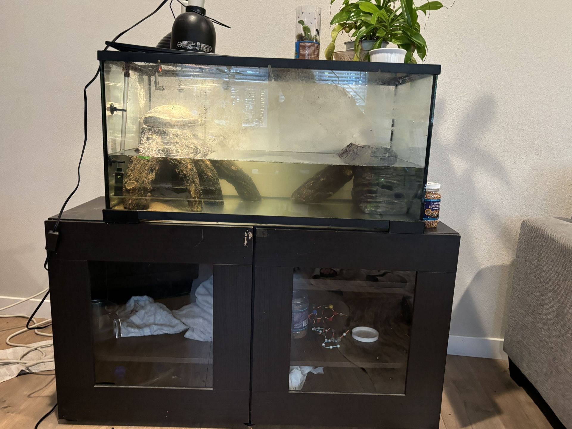 Red Eared Slider Habitat