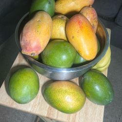 Miami, Beautiful Mangoes Exotic