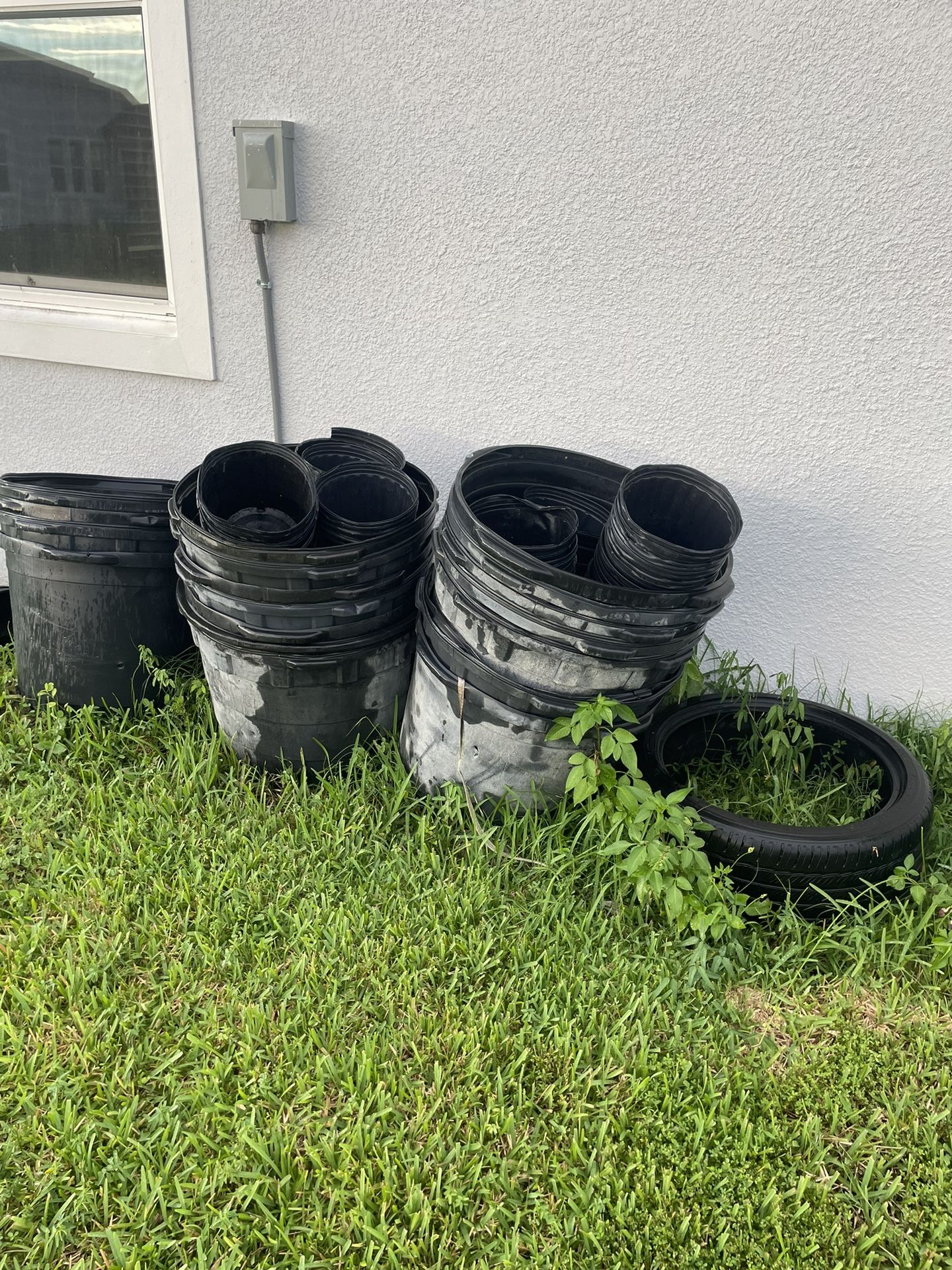 Large Tree Pots/flower Pots.   $70 ALL