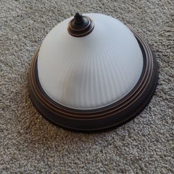 Ceiling Light 11 Inch 