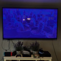 80” Vizio TV