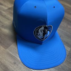 NBA Mavericks Pet Cave / House 