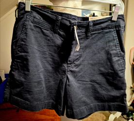 NWT American Eagle Men's Flex Lived-In Khaki Chino Shorts Size 28 Navy