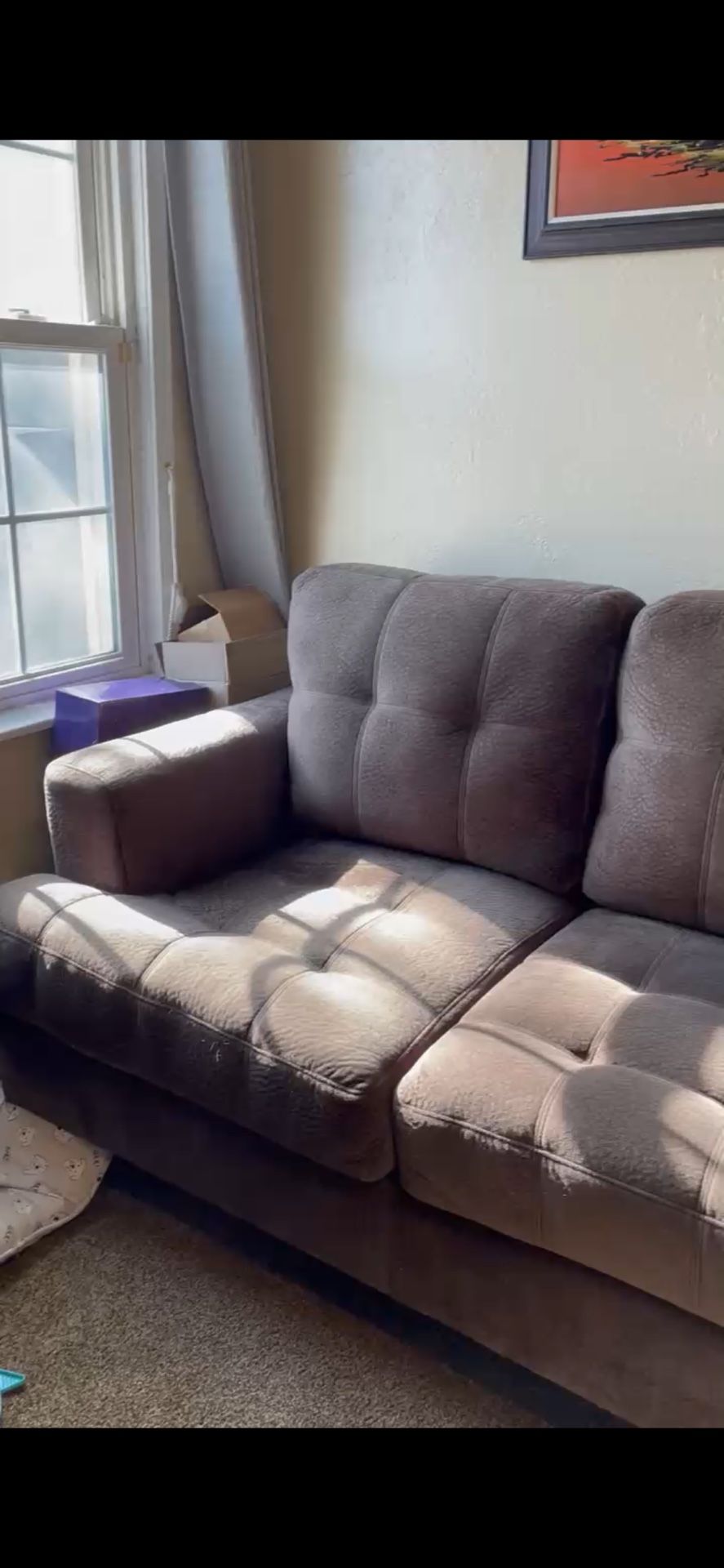 American Furniture Store-Couch/Pull Out Bed