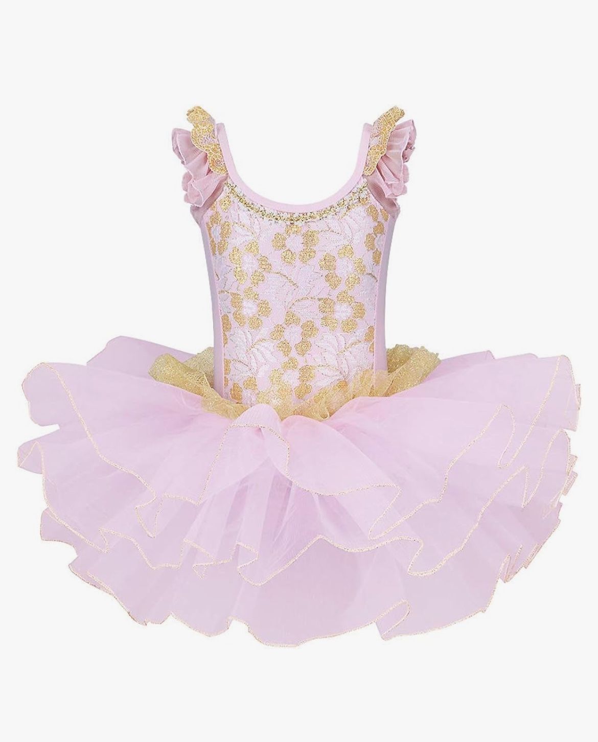 Girls Skirted Leotards Ballet Dance Tutu Princess Dress