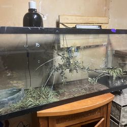 Looking For Trading for a bigger one