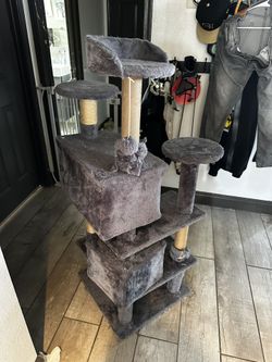 Cat Tower