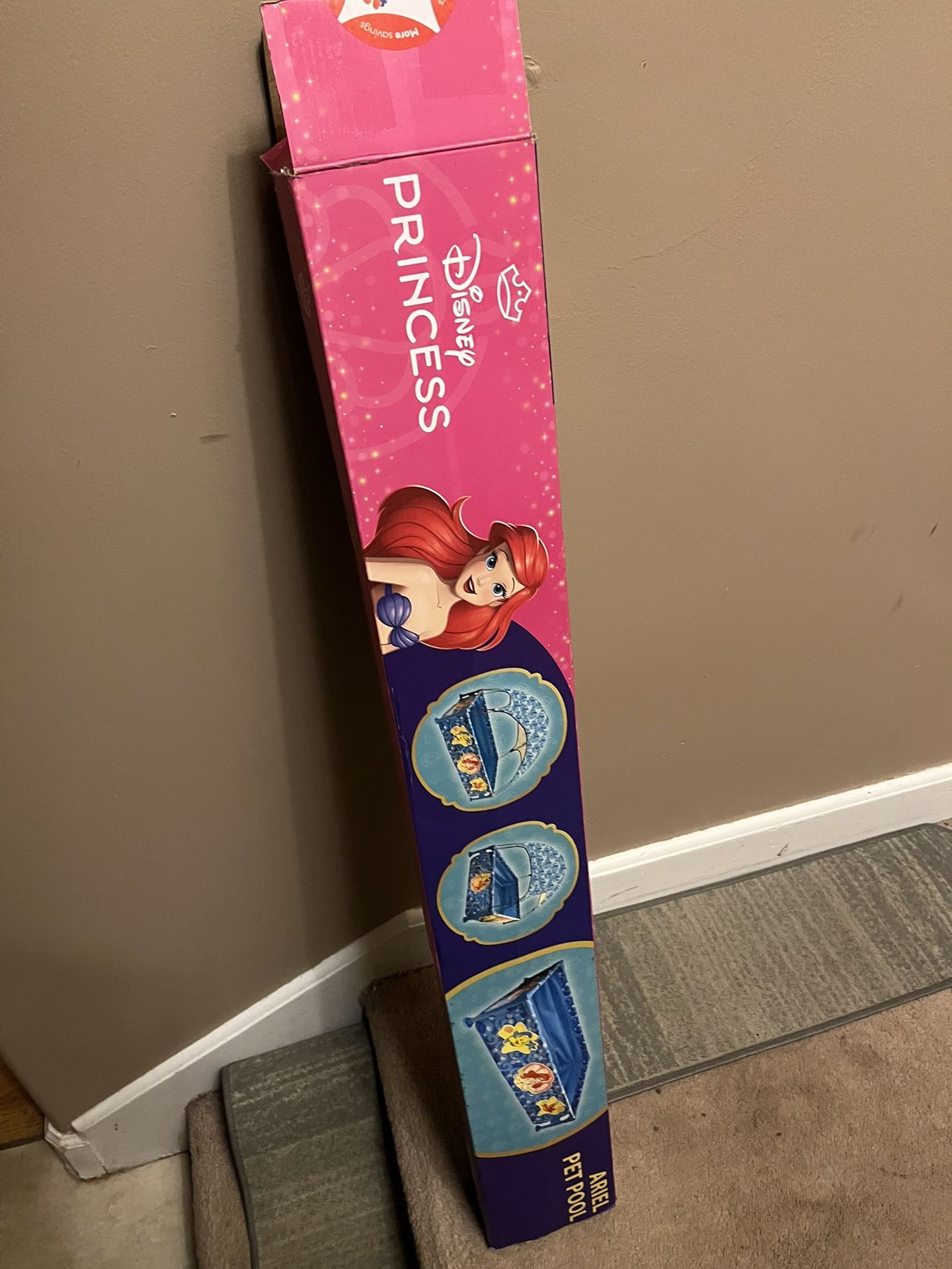 Dog Pool Little Mermaid Theme