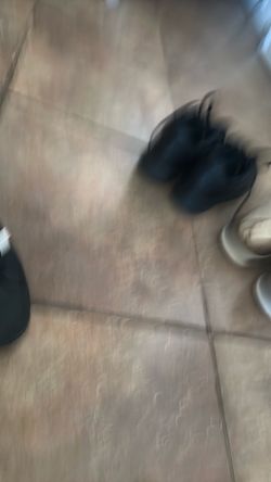 adidas size