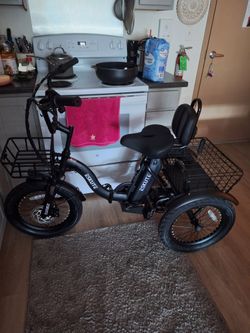 Electric Tricycle Bike