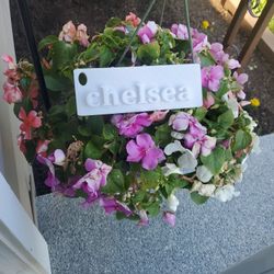 3D Printed Chelsea Name