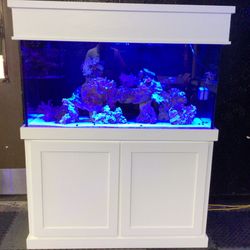 Aquarium