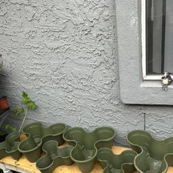 Planters all 20 