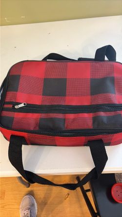 Insulated carrier with handles
