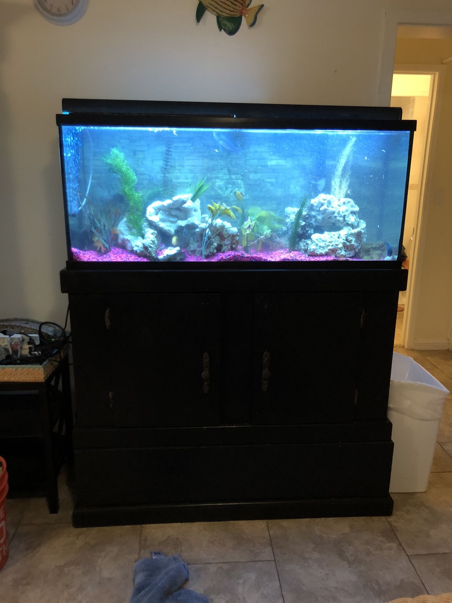 55g tank with stand, lights & filtration equipment. PICKUP IN LAIE
