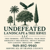 Undefeated Landscape