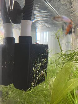 Aquarium Filter Suction Basket