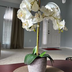 Artificial Orchid 