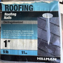 Roofing Nails 1” 