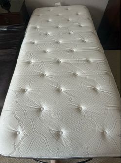 Bed:  Adjustable split king bed / 2 twin / base and mattress