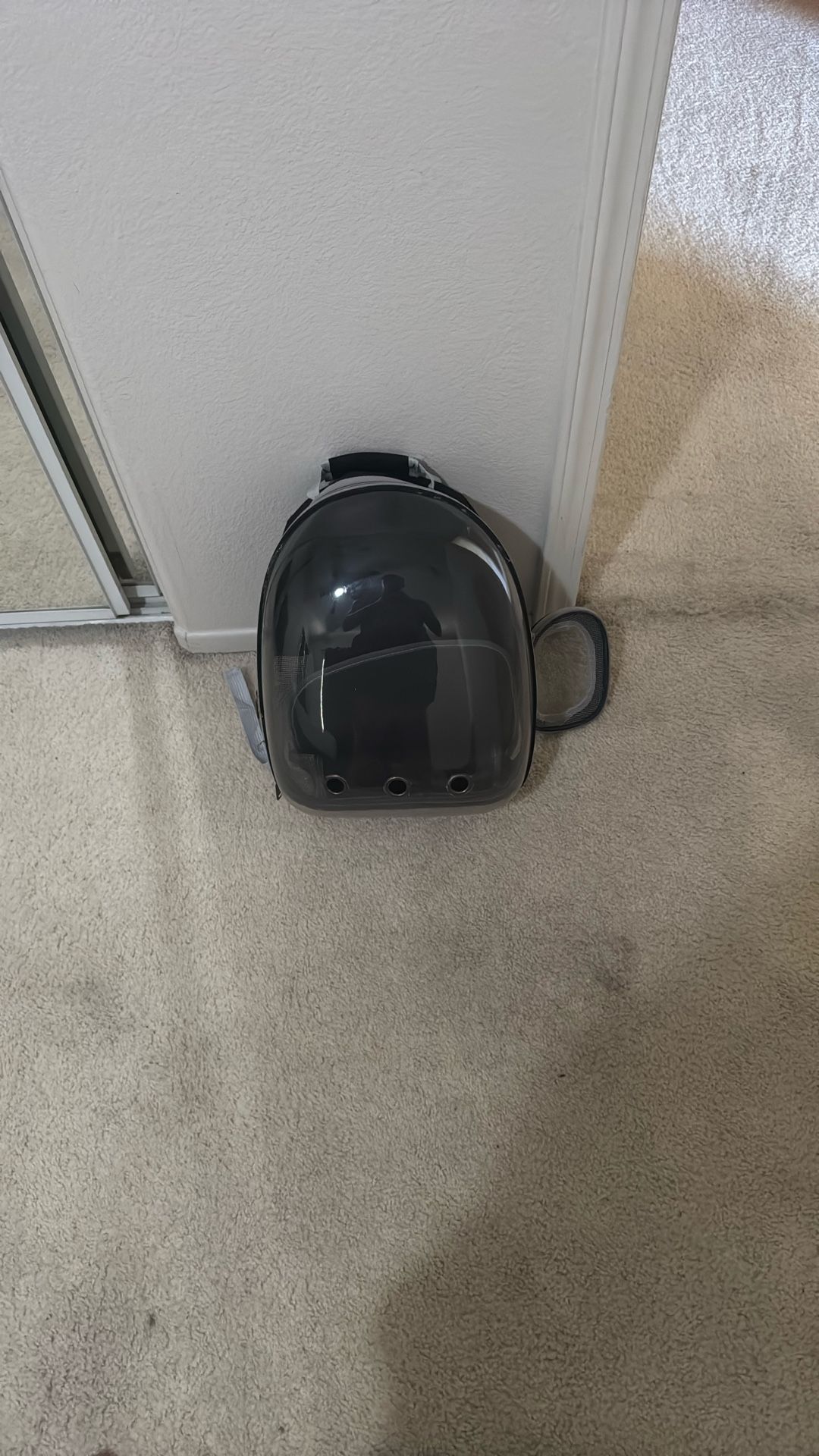 Cat Carrier