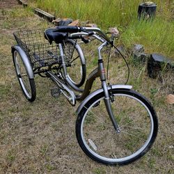 Schwinn 3 Wheel Bike