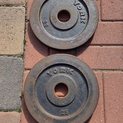 25lb Plates