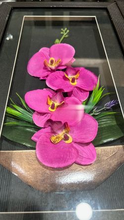 Orchid pink  frames